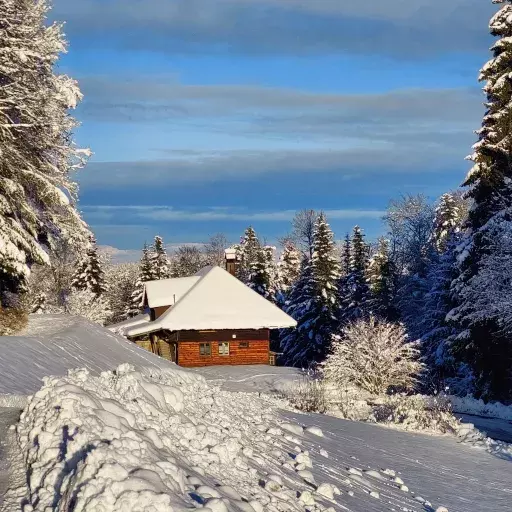 Das Ferienhaus im Winter