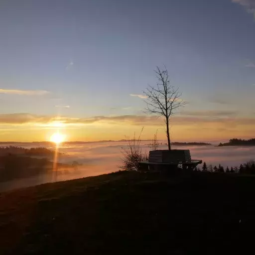 Sonnenuntergang bei der Linde