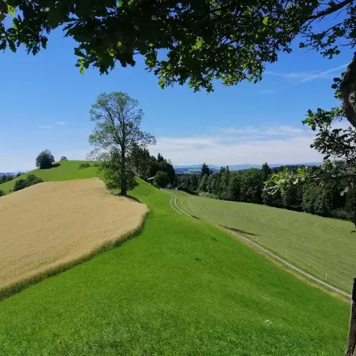 Rötlisberg mit Blick zum Ferienhaus